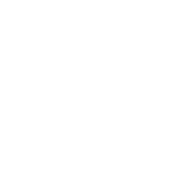 service-icon
